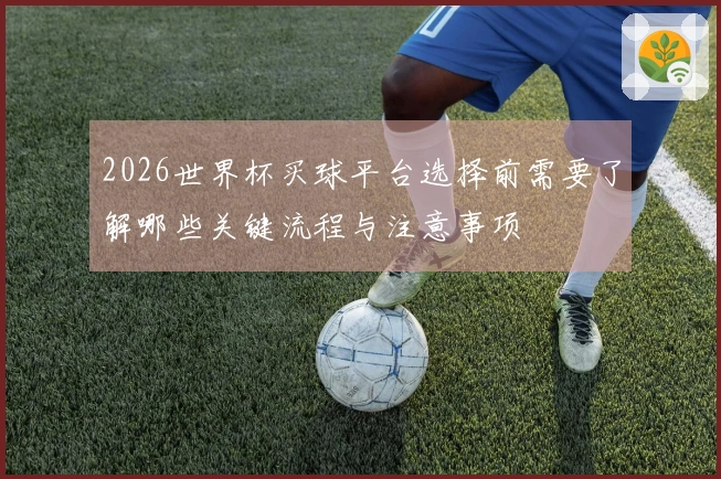 2026世界杯买球平台选择前需要了解哪些关键流程与注意事项