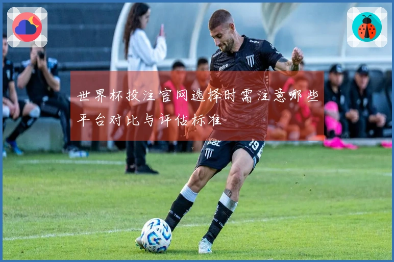 世界杯投注官网选择时需注意哪些平台对比与评估标准