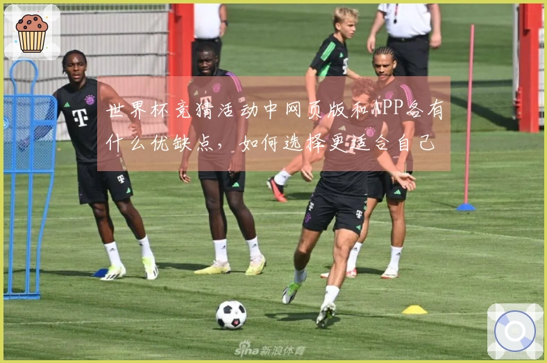 世界杯竞猜活动中网页版和APP各有什么优缺点，如何选择更适合自己的平台？