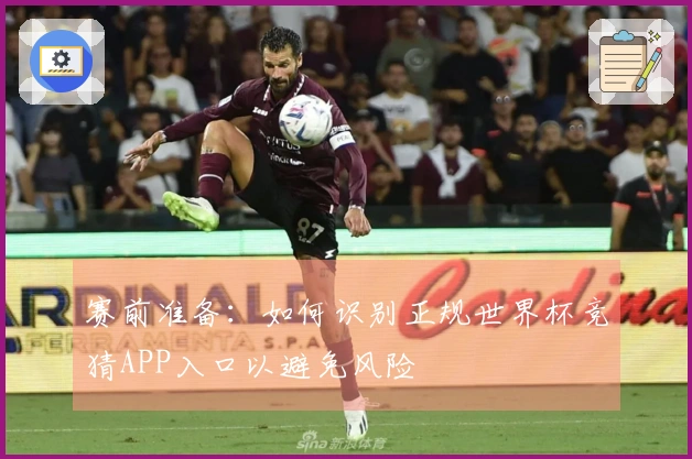 赛前准备：如何识别正规世界杯竞猜APP入口以避免风险
