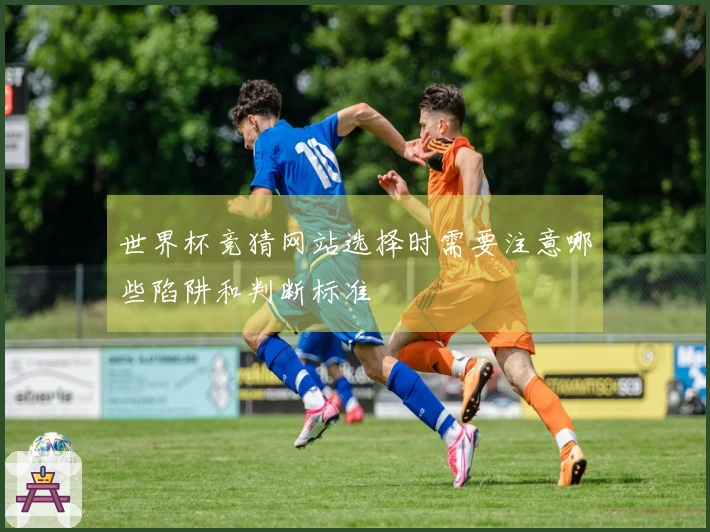 世界杯竞猜网站选择时需要注意哪些陷阱和判断标准