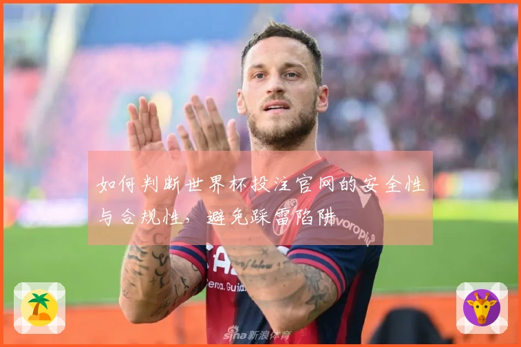 如何判断世界杯投注官网的安全性与合规性，避免踩雷陷阱