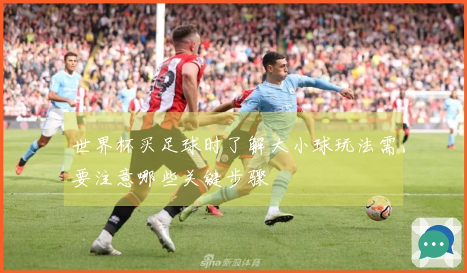 世界杯买足球时了解大小球玩法需要注意哪些关键步骤