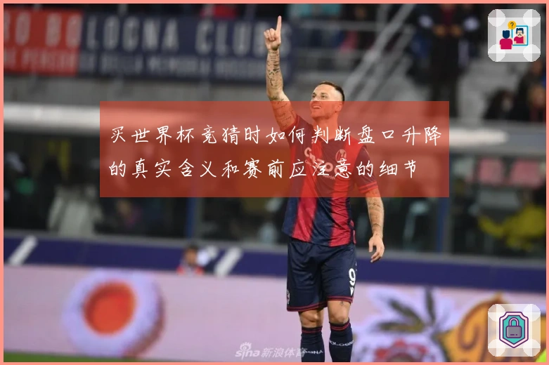 买世界杯竞猜时如何判断盘口升降的真实含义和赛前应注意的细节