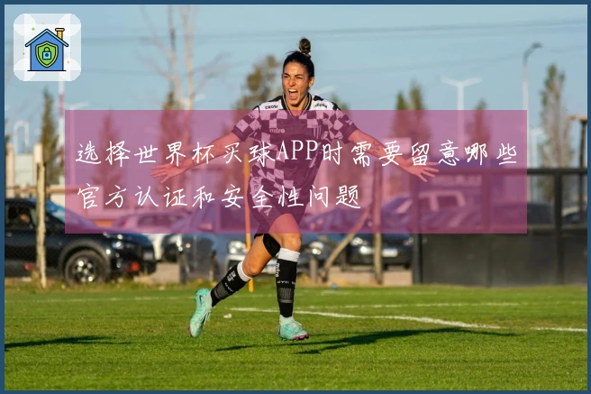 选择世界杯买球APP时需要留意哪些官方认证和安全性问题