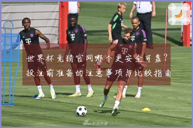 世界杯竞猜官网哪个更安全可靠？投注前准备的注意事项与比较指南