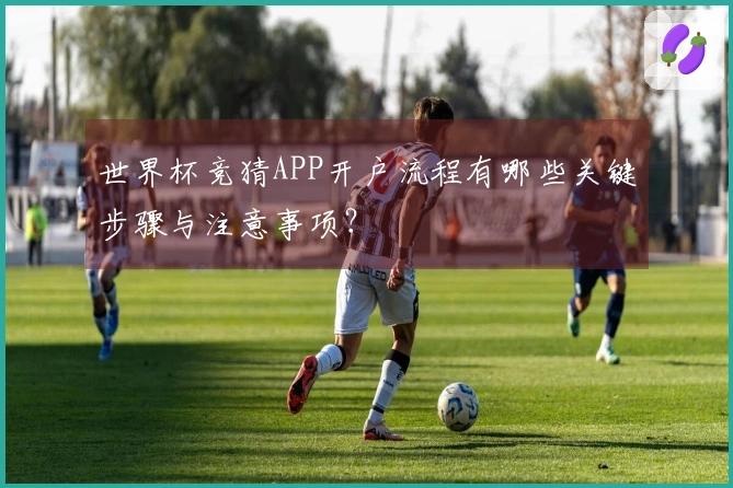 世界杯竞猜APP开户流程有哪些关键步骤与注意事项？