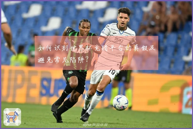 如何识别世界杯竞猜平台的真假及避免常见陷阱？