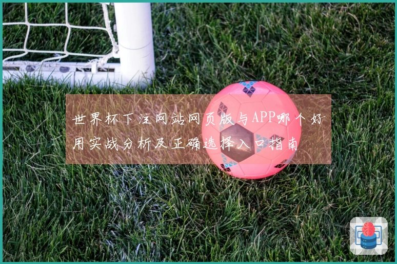 世界杯下注网站网页版与APP哪个好用实战分析及正确选择入口指南