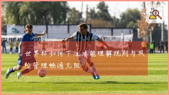 世界杯如何下注才能理解规则与风险管理畅通无阻