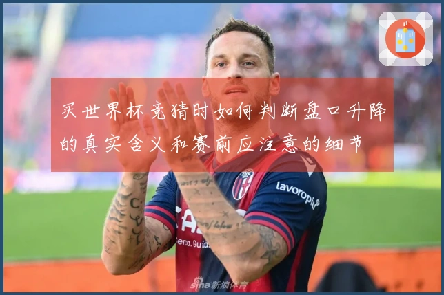 买世界杯竞猜时如何判断盘口升降的真实含义和赛前应注意的细节