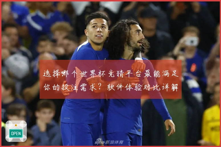 选择哪个世界杯竞猜平台最能满足你的投注需求？软件体验对比详解