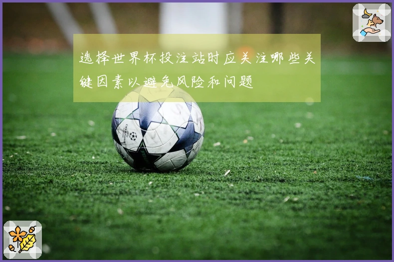 选择世界杯投注站时应关注哪些关键因素以避免风险和问题