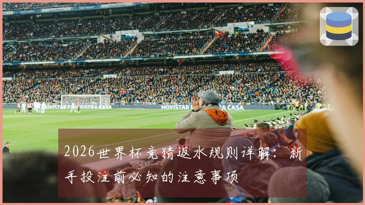 2026世界杯竞猜返水规则详解：新手投注前必知的注意事项