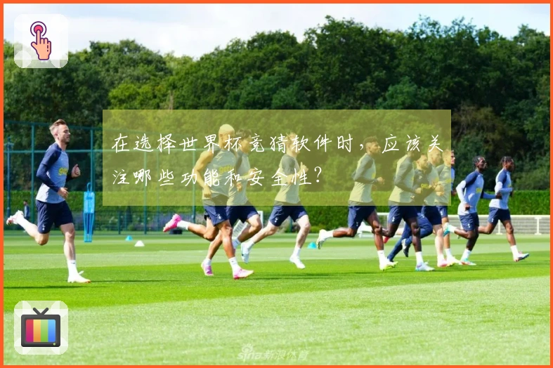 在选择世界杯竞猜软件时，应该关注哪些功能和安全性？