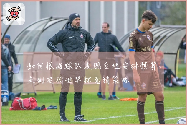 如何根据球队表现合理安排预算，来制定买世界杯竞猜策略