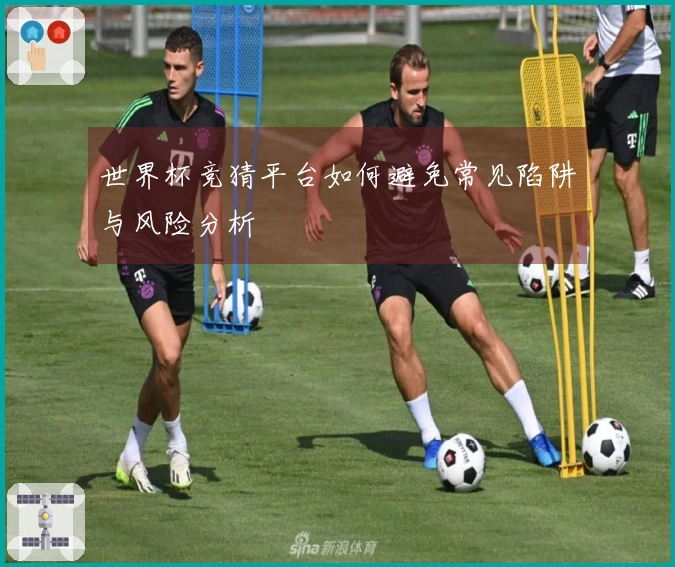 世界杯竞猜平台如何避免常见陷阱与风险分析