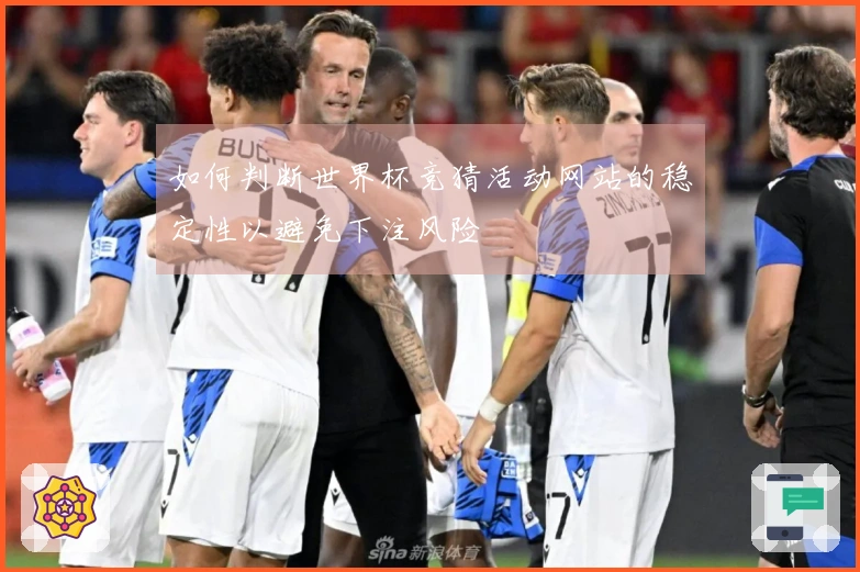 如何判断世界杯竞猜活动网站的稳定性以避免下注风险