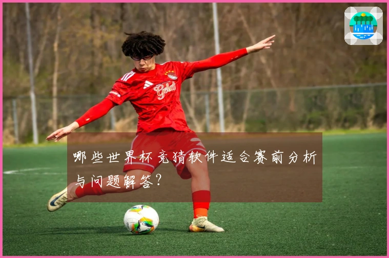 哪些世界杯竞猜软件适合赛前分析与问题解答？