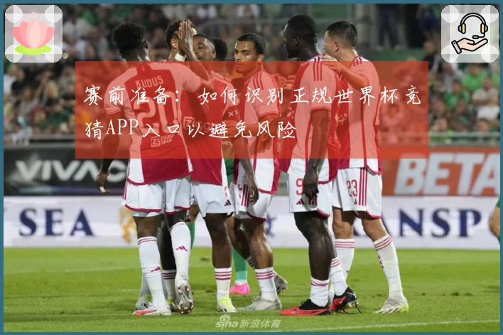 赛前准备：如何识别正规世界杯竞猜APP入口以避免风险