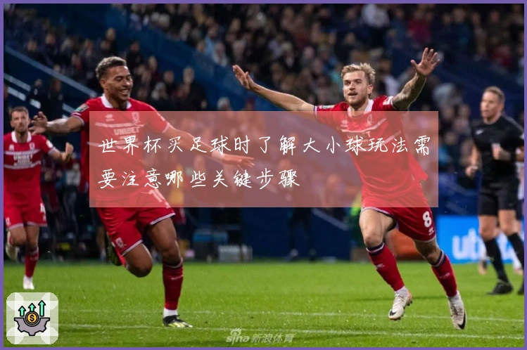 世界杯买足球时了解大小球玩法需要注意哪些关键步骤