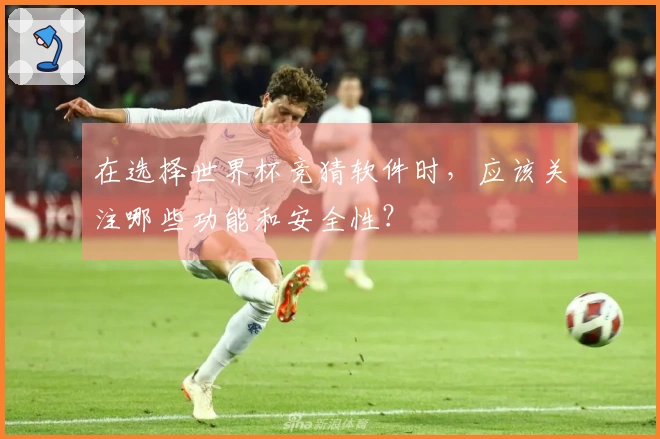 在选择世界杯竞猜软件时，应该关注哪些功能和安全性？