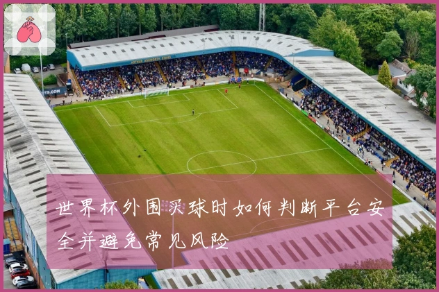 世界杯外围买球时如何判断平台安全并避免常见风险